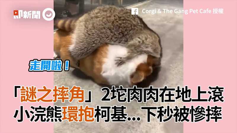 人口岀生_刚岀生宝宝(3)