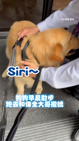 【奴才上班要遲到了！】狗狗散步找保全翻肚撒嬌不走XD