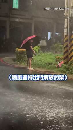 【有撐傘，但不多】黑柴颱風天堅持出門解放！奴才超狼狽...