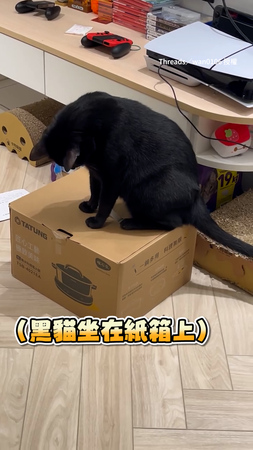 【等這一天很久了】黑貓逮到機會報復同伴　直接坐紙箱上不讓出來XD