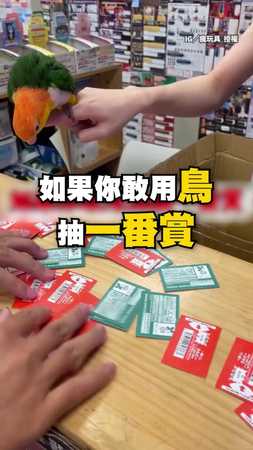 【鳥卦還能這樣用】鸚鵡抽一番賞　一抽入魂網友震驚