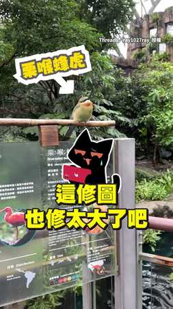 【修圖修太大了吧】「纖瘦小鳥」對比「本尊」網友笑翻