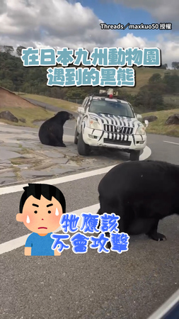 【工讀生出來】日本九州動物園遇黑熊！跟管理員揮手打招呼