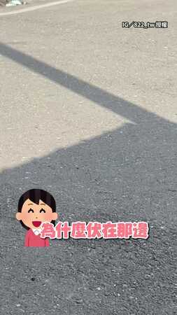 【真舒服】家裡門口躺了一隻豬在曬太陽XD