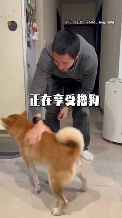 【有人在虐單身狗】女友驚喜返台...狗勾被閃爆自己開門走了