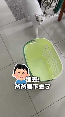 【貓空籃車】貓咪專屬電梯！　聽到「下樓」就跳進洗衣籃等帶走