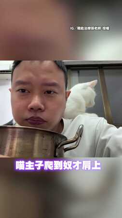 【聲音超奶】妨礙吃飯被訓話！　貓咪「超奶音頂嘴」融化全網