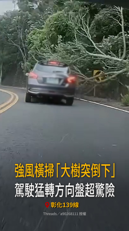 【強風吹倒大樹】彰化139線駕駛急閃避　驚險畫面曝