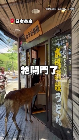 【熟門熟鹿】奈良梅花鹿想進店被趕 下秒繞去側門結果不會開門XD 【熟門熟鹿】奈良梅花鹿想進店被趕 下秒繞去側門結果不會開門XD