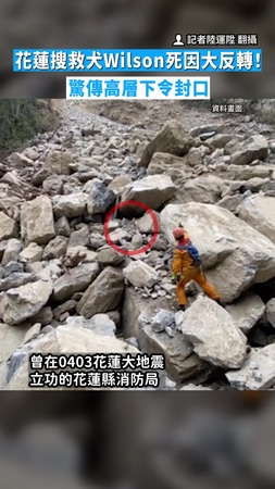 【曾立下大功】花蓮搜救犬Wilson死因大反轉！　驚傳高層下令封口