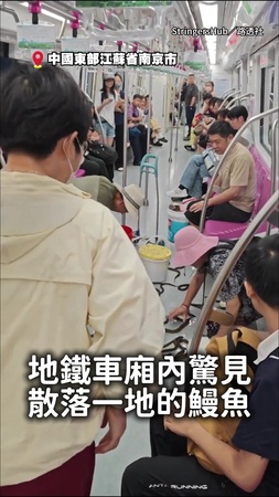 【地鐵慘變海鮮區】整桶活體鰻魚灑車廂！乘客忙著彎腰抓鰻魚XD