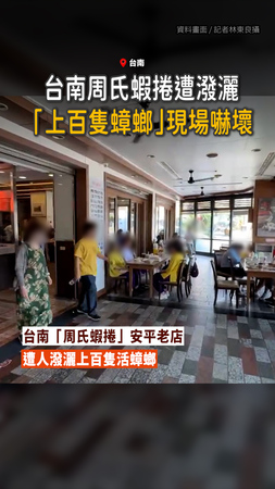 【現場顧客嚇壞】台南周氏蝦捲遭潑灑「上百隻蟑螂」！