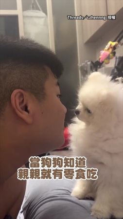 【好閃喔】狗狗學會親親技能！跟奴才不斷「啵」：偶想吃零食