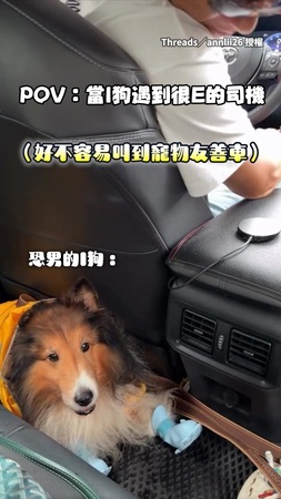 【這眼神太有戲】社恐喜樂蒂遇熱情司機 一路上尷尬偷瞄XD