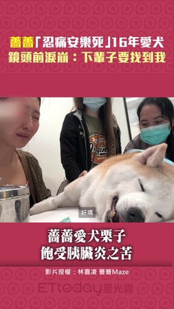 薔薔「忍痛安樂死」16年愛犬 鏡頭前淚崩:下輩子要找到我 薔薔「忍痛安樂死」16年愛犬 鏡頭前淚崩:下輩子要找到我