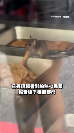 【老鼠出沒】自助餐店內老鼠吃大餐！路人看到直呼：很扯欸