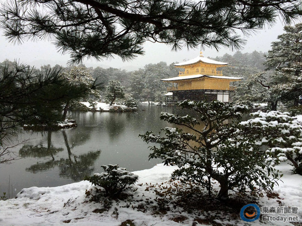 2016年首次出現的京都金閣寺「雪金閣」。（圖／網友Tsai yuhsia授權提供，請勿隨意翻拍，以免侵權。）