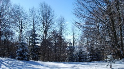 8個世界最寒冷城市　-20℃冰天雪地只是家常便飯