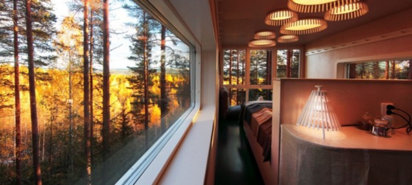 住进瑞典树屋旅馆,不只实现童年梦还有极光陪