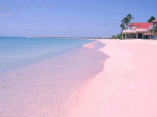 少女心喷发的世界4大「粉红奇景」 沙滩湖泊都
