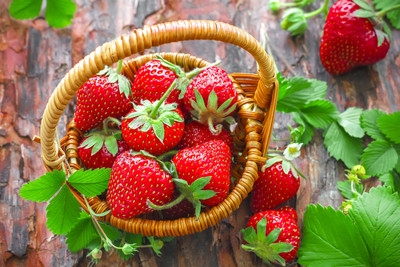 我們都吃過草莓，但你有看過「發芽的草莓」嗎？