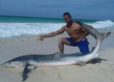 海灘發現擱淺藍鯊，多明尼加遊客們把牠撈上岸…拍照
