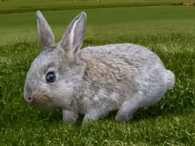 這隻可愛的兔兔MV，看到最後會萌到讓你「嘔吐反胃」