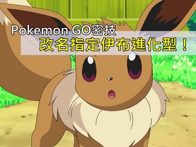 Pokémon GO密技大全！改特定名居然能指定伊布進化型