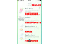 《Pokémon Go》介面英文看唔？中文解說在這裡！（圖／記者戴榕萱製作）
