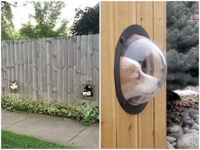 創意育寵術：幫「牆壁塞頭犬」加裝安全面罩(╯∀╰)