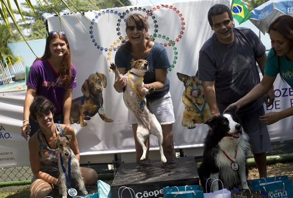 9個月大的米格魯「迷馬」(中)在「狗狗奧運會」勇奪跳水項目金牌。(圖／達志影像／美聯社)