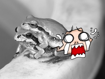 嚇！小蛙抱母蛙是在姦屍，而且你記得牠們小時候是蝌蚪嗎..