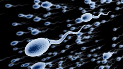 強制讓精子進入「休眠」　男性避孕藥重大突破