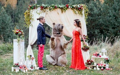 最狂戰鬥民族新人！邀請130公斤大棕熊當證婚人