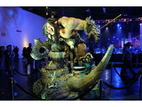 BlizzCon 2016（圖／記者周之鼎攝）