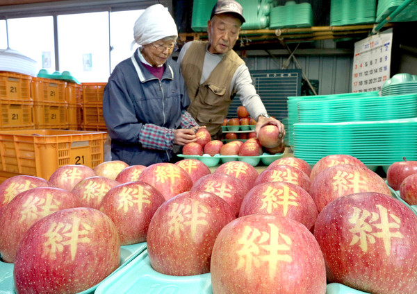 福島蘋果,福島核災,福島,核災,隔離衣（圖／達志／美聯社）