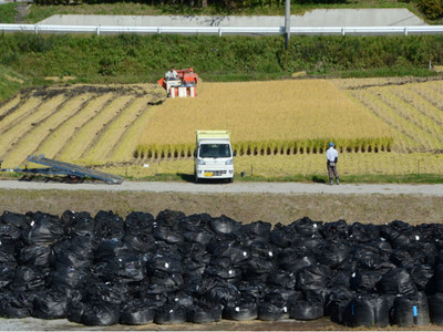 核災食品能吃？日網友瘋傳「農民在污染土地旁種田」
