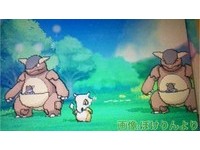 但也有人對此設定感到悲傷，如果可拉可拉戴的骨盔真的是「媽媽的遺骨」，就代表所有寶可夢世界的可拉可拉，全都是失去母親的小袋龍，這樣也太寂寞了。