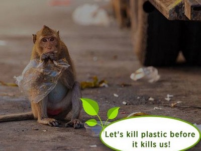 塑膠危機即將解除？印度人發明「可以吃」的塑膠袋