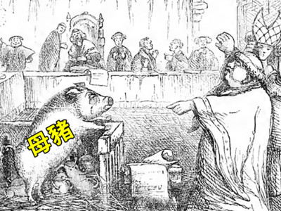 母豬偷吃被判絞刑！「中世紀法庭」連動物都能找律師辯護