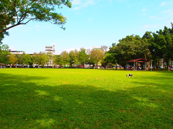 榮星花園。（圖／台北市工務局提供）