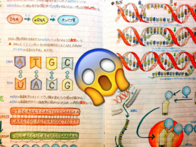 全彩版！學霸公開「神之筆記」，這DNA螺旋好精美啊