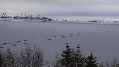 冰湖邪門奇景「貪食蛇裂痕」　綿延兩公里...讓冰島人都被嚇死