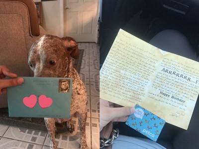 分居老公每年寄「生日賀卡」給愛犬　眼尖網友：他想追回妳