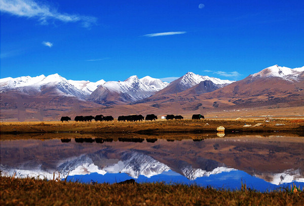 ▲青藏高原擁有豐富的自然景觀。（圖／翻攝自西藏自治區官網）