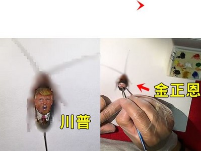 蟑螂背上畫川普希特勒　藝術家「滿手噁爛腸液」只為譴責政客
