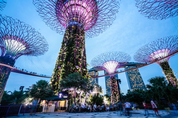 新加坡旅遊-濱海灣花園溫室：擎天樹、燈光秀夜景（圖／記者林世文攝）