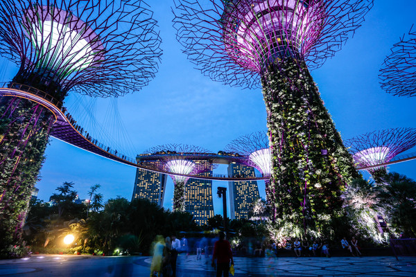 新加坡旅遊-濱海灣花園溫室：擎天樹、燈光秀夜景（圖／記者林世文攝）