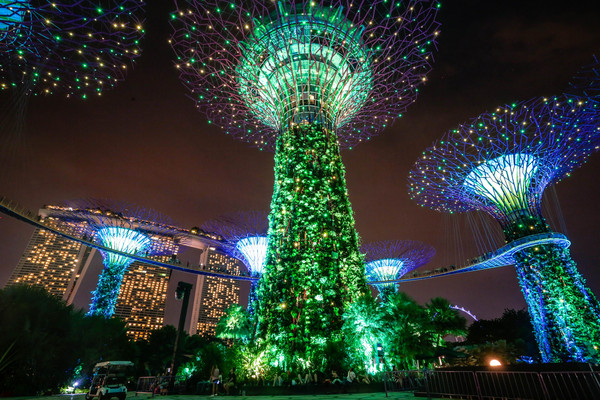 新加坡旅遊-濱海灣花園溫室：擎天樹、燈光秀夜景（圖／記者林世文攝）