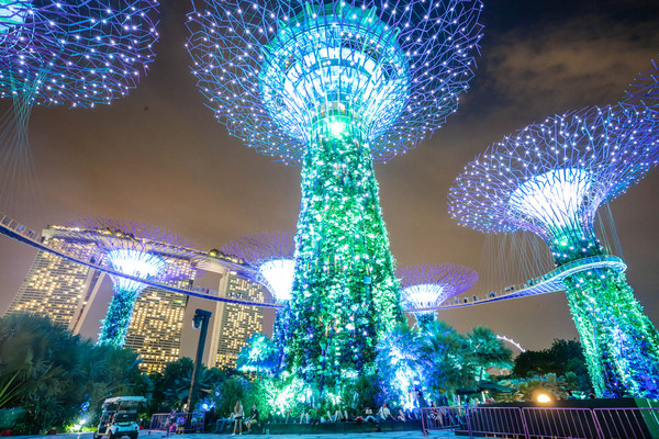 新加坡旅遊-濱海灣花園溫室：擎天樹、燈光秀夜景（圖／記者林世文攝）